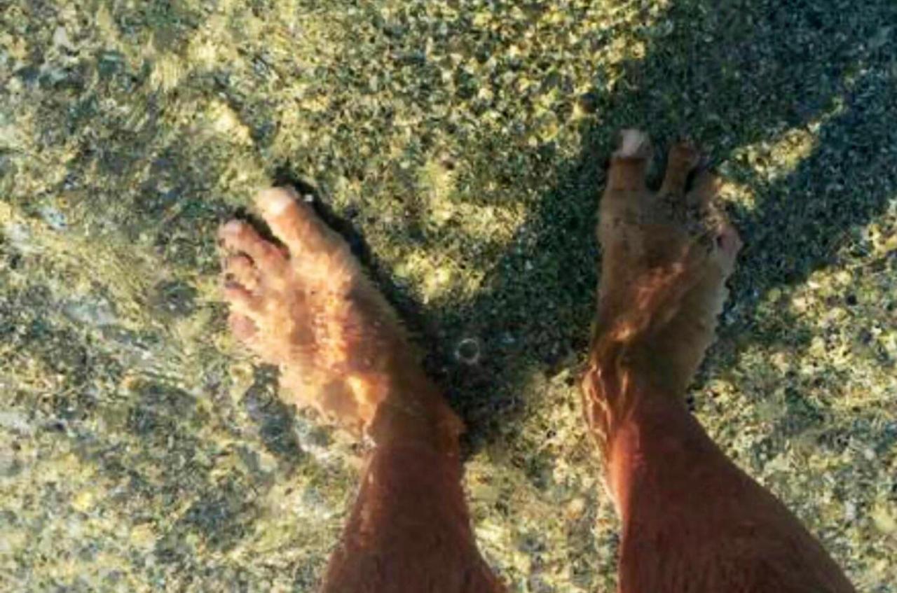 Bord De Mer - Acces Prive A La Plage Prunete