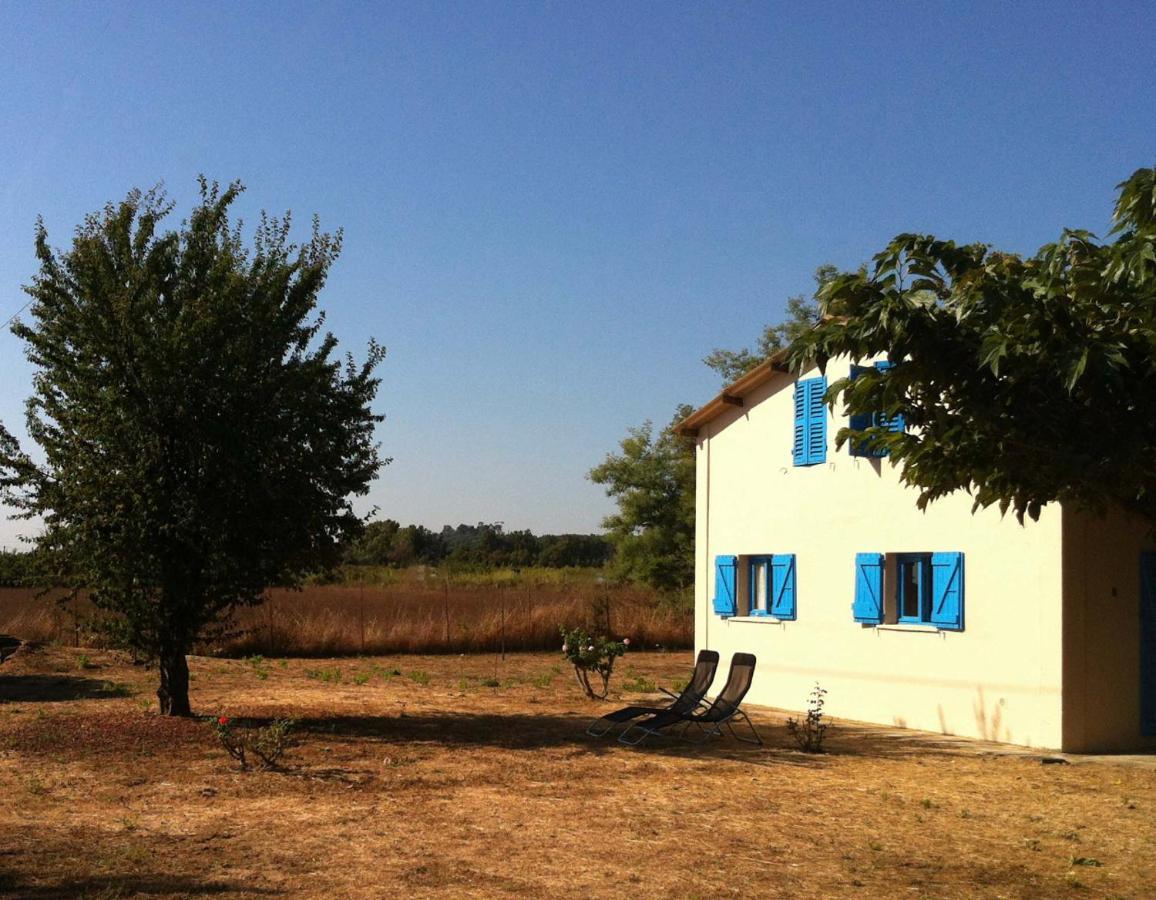 Apartment Bord De Mer - Acces Prive A La Plage *